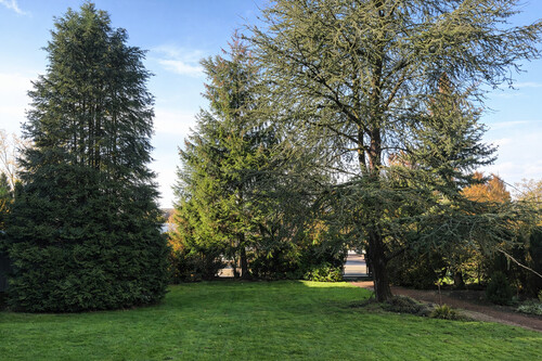 Titelbild - Abrissgrundstück in exklusiver und sehr schöner Lage von Münster- St. Mauritz
