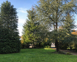 Abrissgrundstück in exklusiver und sehr schöner Lage von Münster- St. Mauritz - Münster / Ost