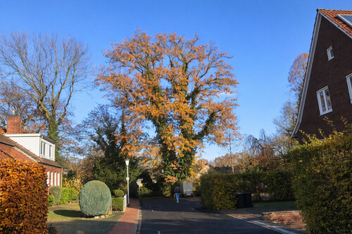 Foto - Grundstück zum Kaufen in Münster / Ost