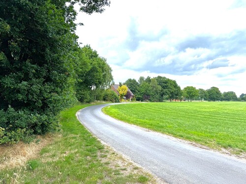 Straße zum Haus (1) - 