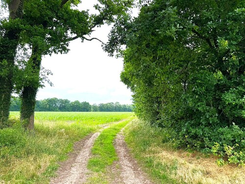 Umgebung (1) - 