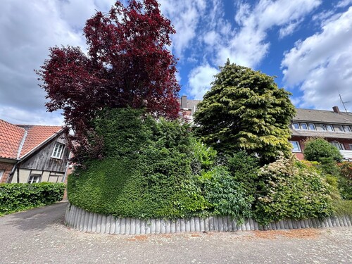 Rückansicht - 