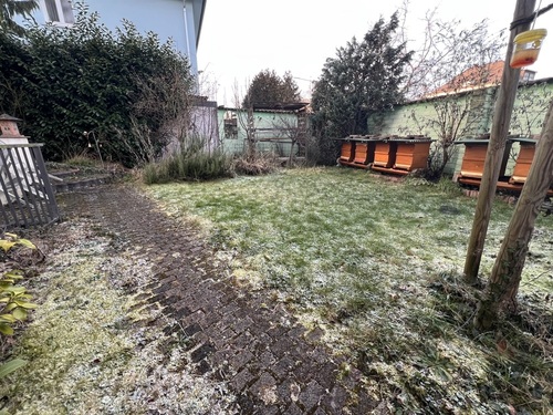 Gartenblick - 