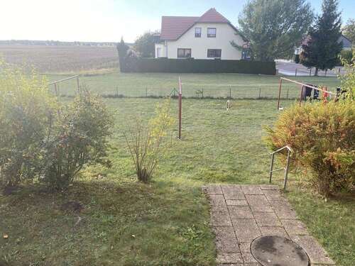 Blick - 