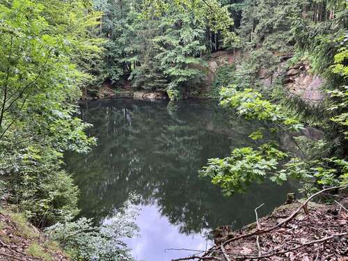 340de4b2-2bdf-4669-a64b-4ce698 - 