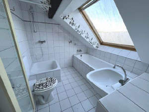 Bild6 - 