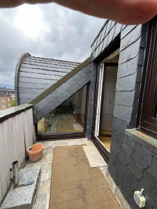 Bild6 - 