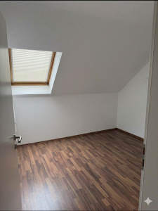 Bild5 - 