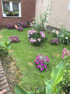 Ausbaureserve - 3 Zimmer Doppelhaushälfte zum Kaufen in Jüchen