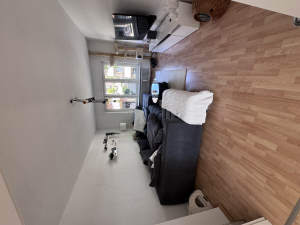 Bild15 - 