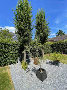 Bild11 - 