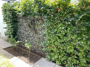 Bild10 - 