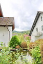 Gartenteich - 