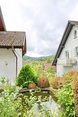Gartenteich - 
