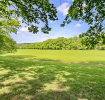 Sanierte Wohnung direkt an der Lichtentaler Allee - Erstbezug - Baden-Baden