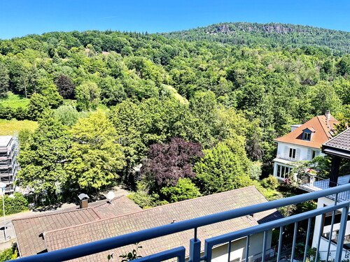 Ausblick vom Balkon auf Battertfelsen - 