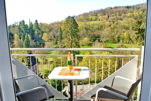 Balkon mit Traumblick - 