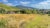 Ausblick - 