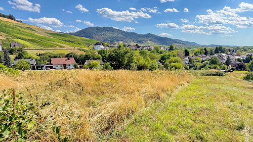 Ausblick - 