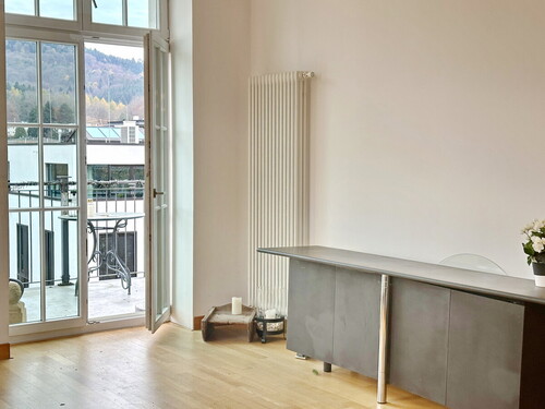 Zugang Balkon - 2 Zimmer 2- Zimmerwohnung in Baden-Baden