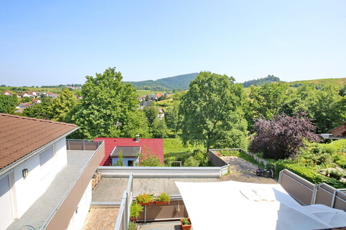 Blick auf die Weinberge - 