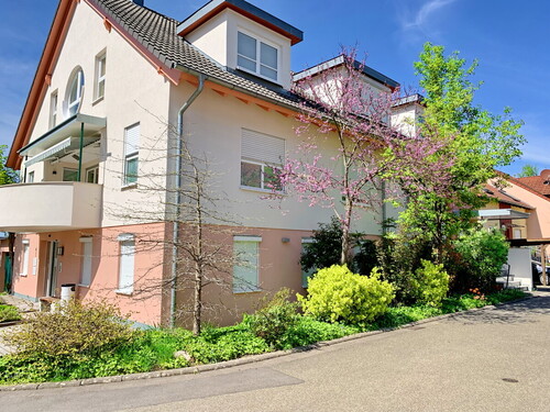 7458-Aussenansicht - 18 Zimmer Mehrfamilienhaus, Wohnhaus zum Kaufen in Ottersweier