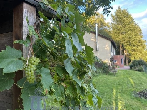 ehemaliger Ziegenstall - Außenanlage - 