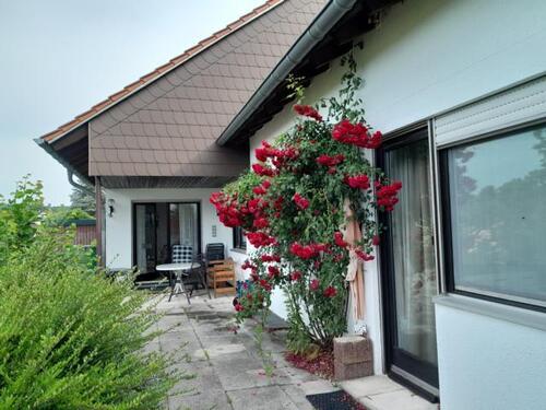 4. Bild - Mehrfamilienhaus, Wohnhaus mit 190,00 m² in Homburg zum Kaufen