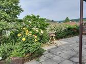 9. Bild - 