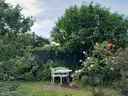 10. Bild - 