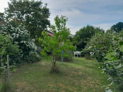 12. Bild - 