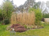 Gartensicht - 