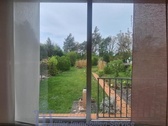 Blick in den Garten - 