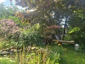 Gartenidylle mit Teich - 