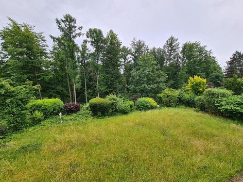 Gartenansicht - 