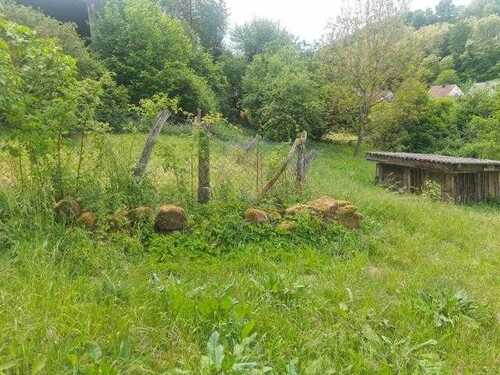 Foto 4_Gartenansicht - Bauernhaus, Landhaus mit 93,00 m² in Homburg zum Kaufen