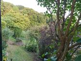 Foto 7_Blick ins Grüne - 