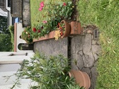 Bild 15_Außenanlage - 