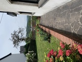 Bild 16_Außenanlage - 