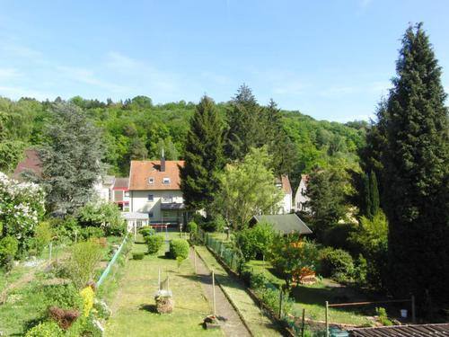 Gartenansicht - Einfamilienhaus zum Kaufen in Saarbrücken-Dudweiler