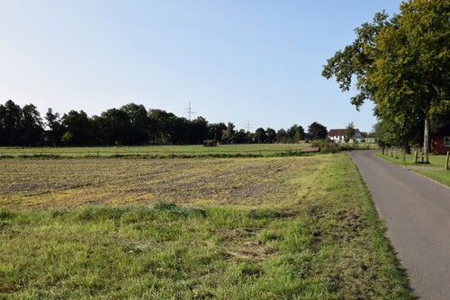 Direkte Zufahrt über eine befestigte Straße möglich - Landwirtschaftliche Fläche zu verkaufen Verpachtung als Weide möglich Grundstück komplett eingezäunt