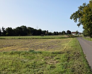 Landwirtschaftliche Fläche zu verkaufen Verpachtung als Weide möglich Grundstück komplett eingezäunt - Stuhr