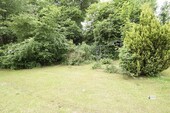 Baumbestand im Garten - 