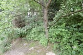 Ansteigendes Grundstück - 