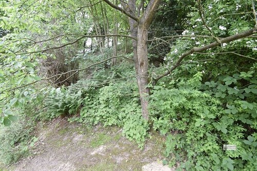 Ansteigendes Grundstück - 