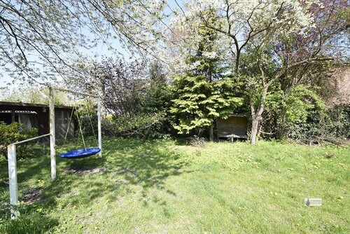 Garten leicht verwildert - 