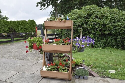 Impressionen im Hofbereich - 