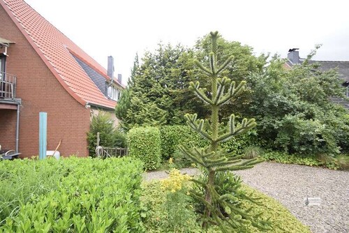 Gartenbereich - 