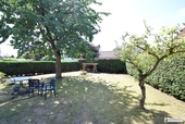 Blick in den Garten mit Kirschbaum - 