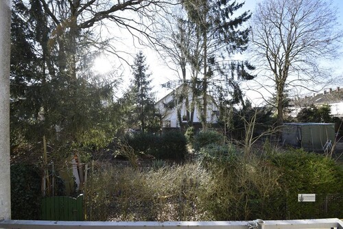 Blick in den verwilderten Garten hinter dem Haus - 